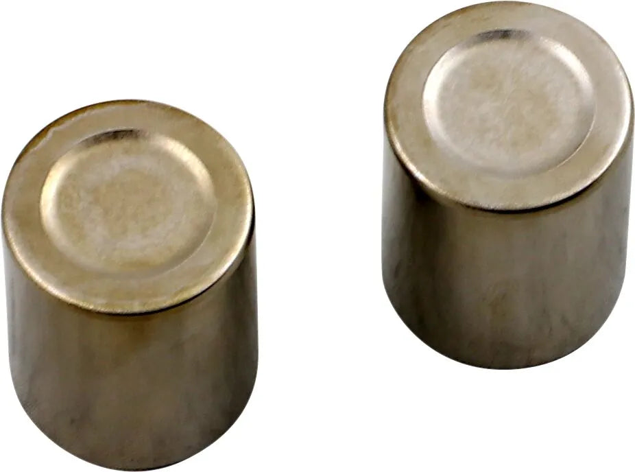 Parts Unlimited Bremskolbensatz für hintere Bremssättel