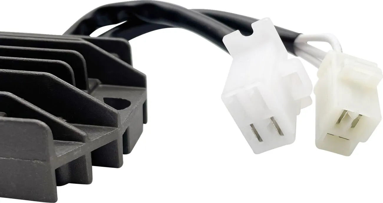 Rick's Motorsport Elektrischer Lithium-Ionen-Gleichrichterregler