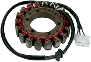 Rick's Motorsport Elektrischer Stator für Kawasaki