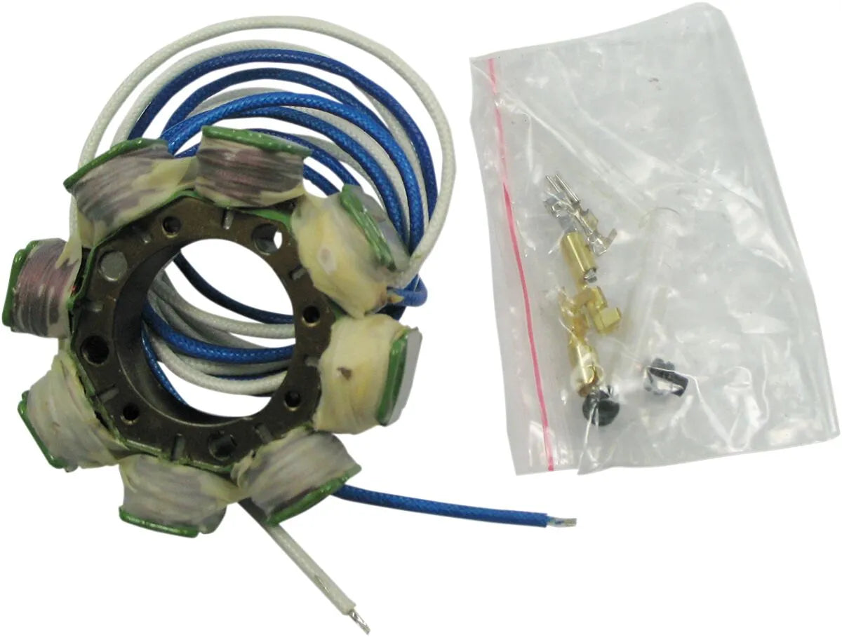 Rick's Motorsport Elektrischer Stator