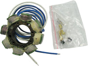 Rick's Motorsport Elektrischer Stator