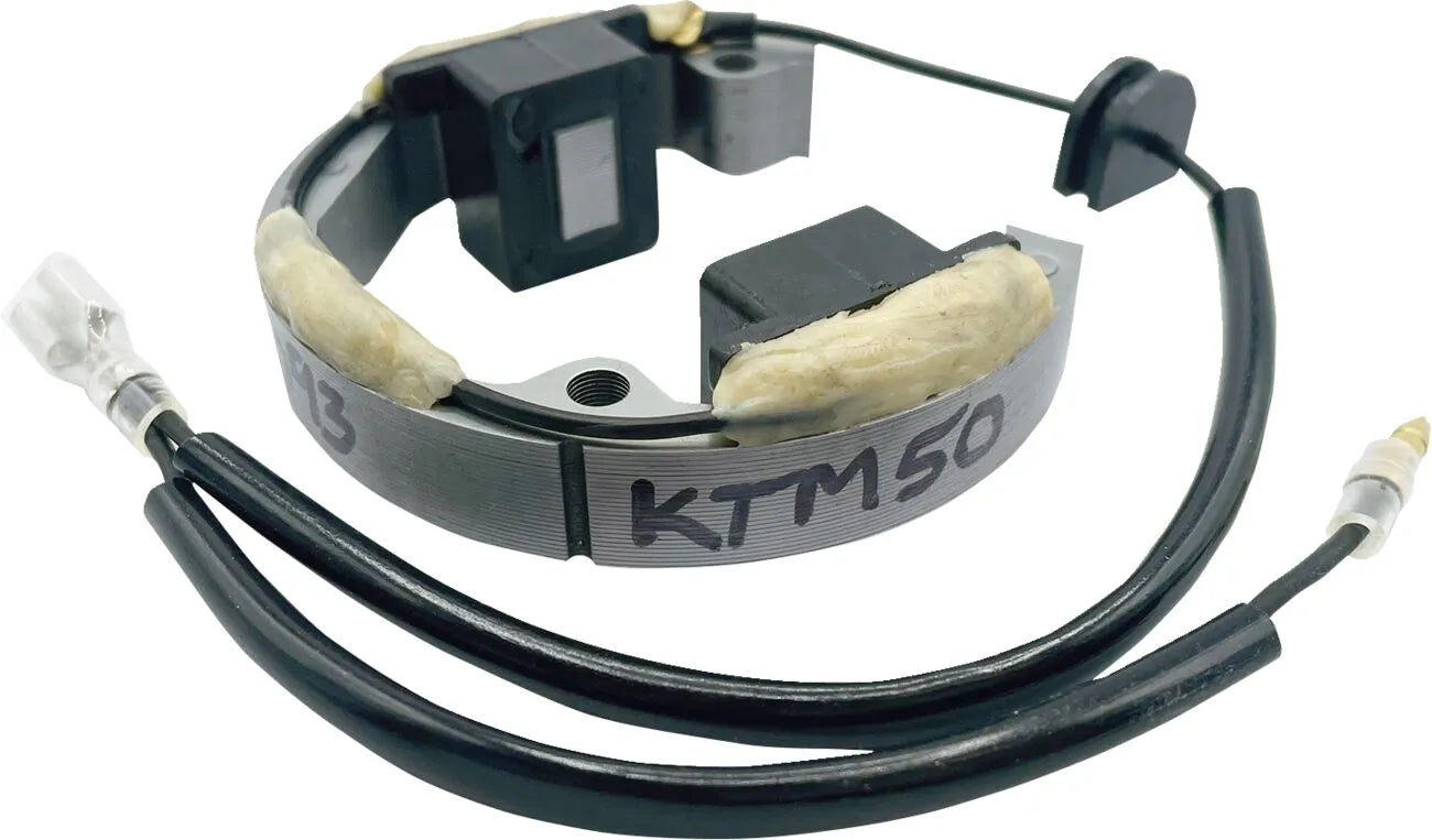 Rick's Motorsport Elektrischer Stator