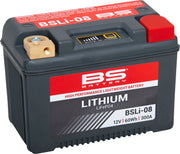 Bs Battery Lithium LiFePO4 Batterie