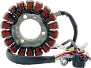 Rick's Motorsport Elektrischer Stator