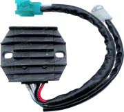 Rick's Motorsport Elektrischer Lithium-Ionen-Gleichrichterregler