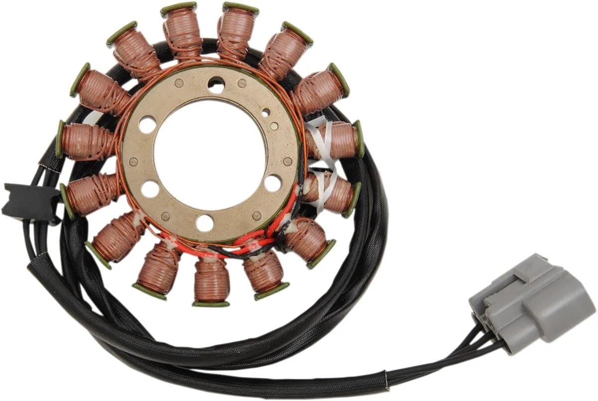 Rick's Motorsport Elektrischer Stator